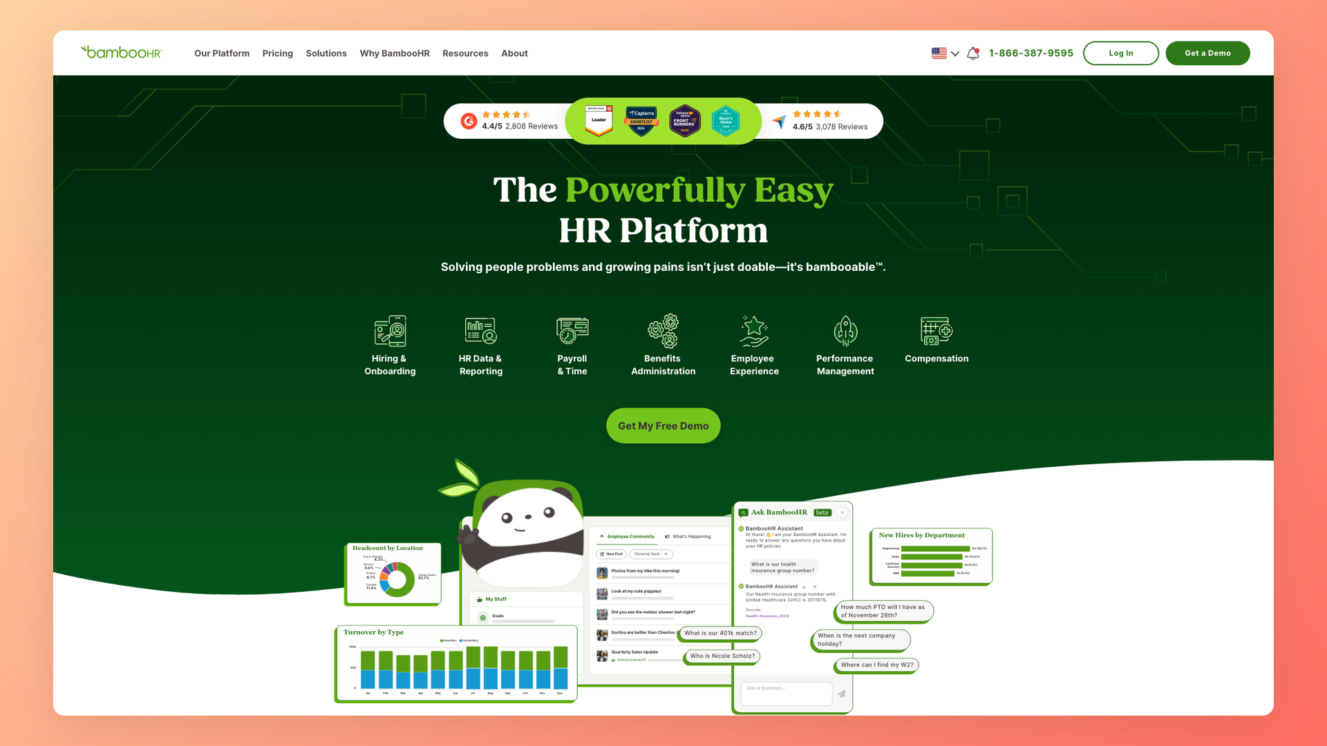 BambooHR hiring platform reporting